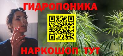 мдпв Аргун